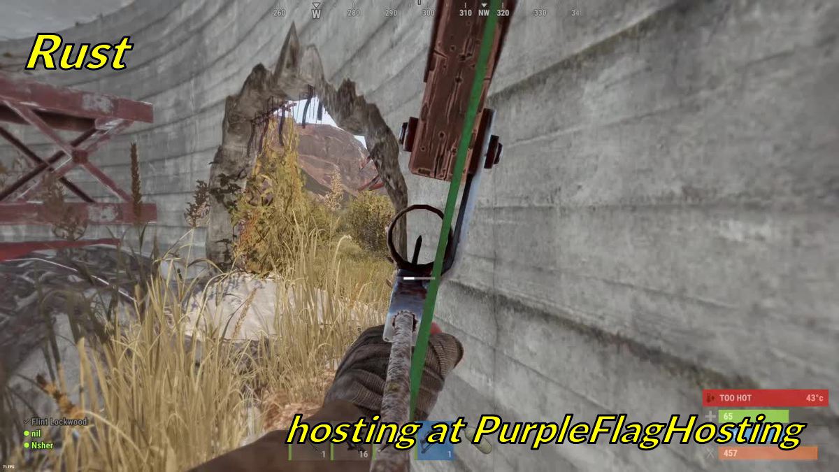 purpleflaghosting.com