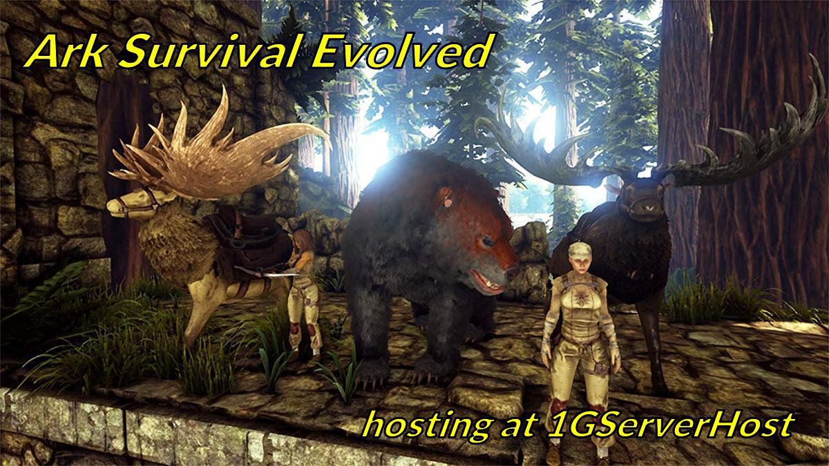 1gserverhost.com