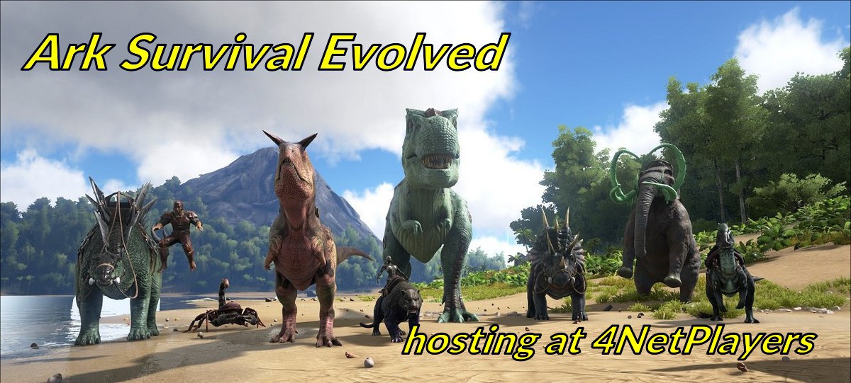 4netplayers.com