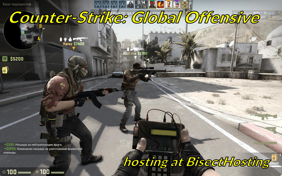 bisecthosting.com