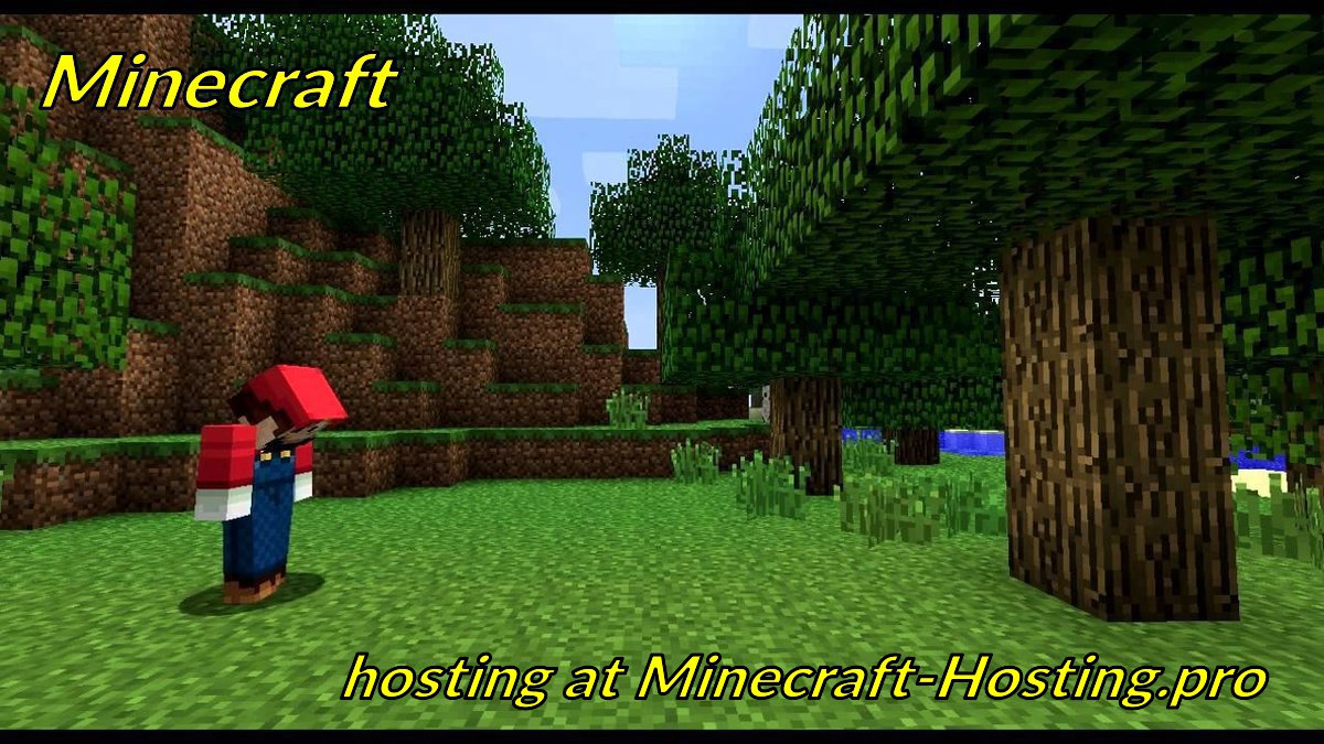 minecraft-hosting.pro