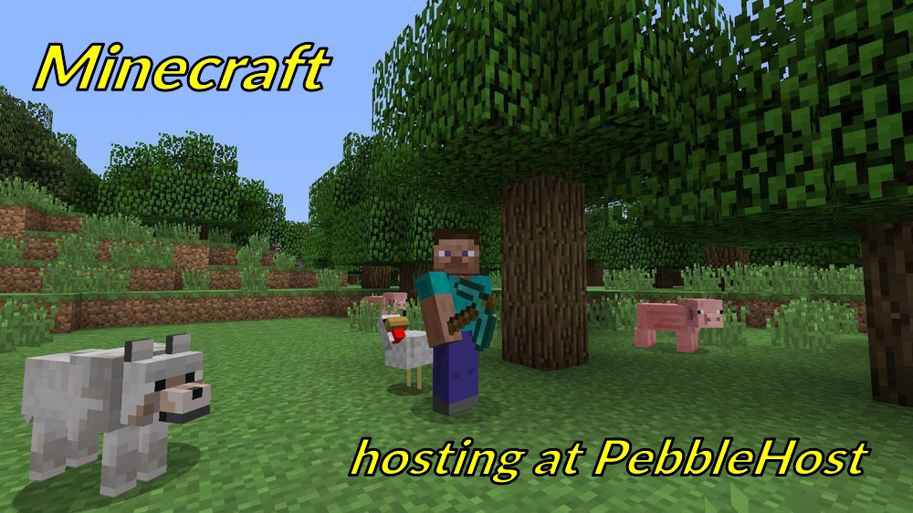 pebblehost.com