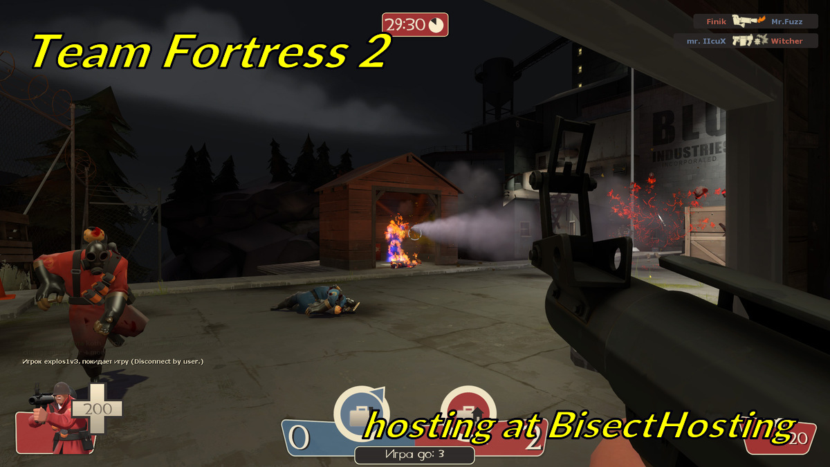 bisecthosting.com