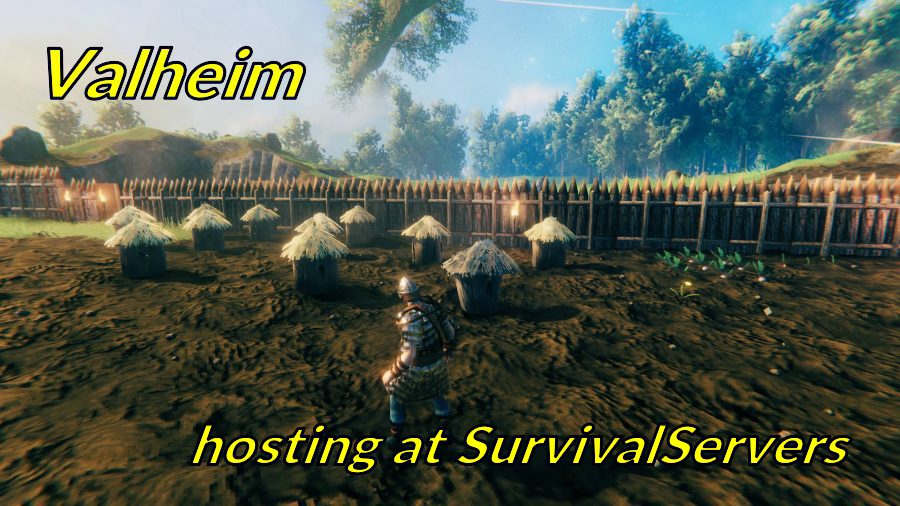 survivalservers.com